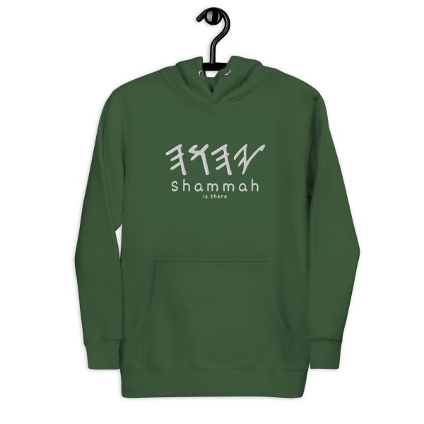 Is There Embroidered Unisex Hoodie
