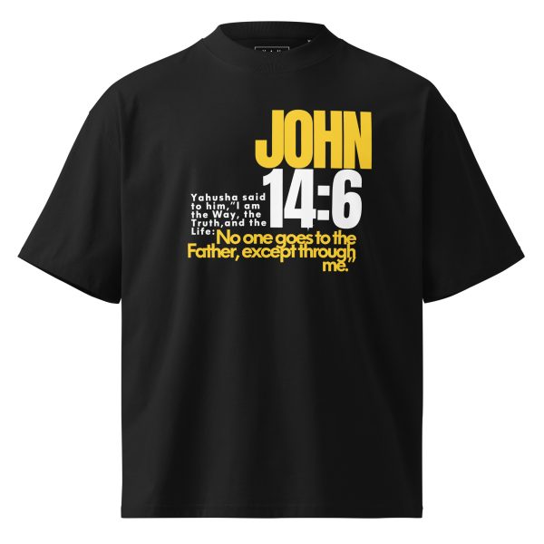 John 14:6  organic oversized t-shirt